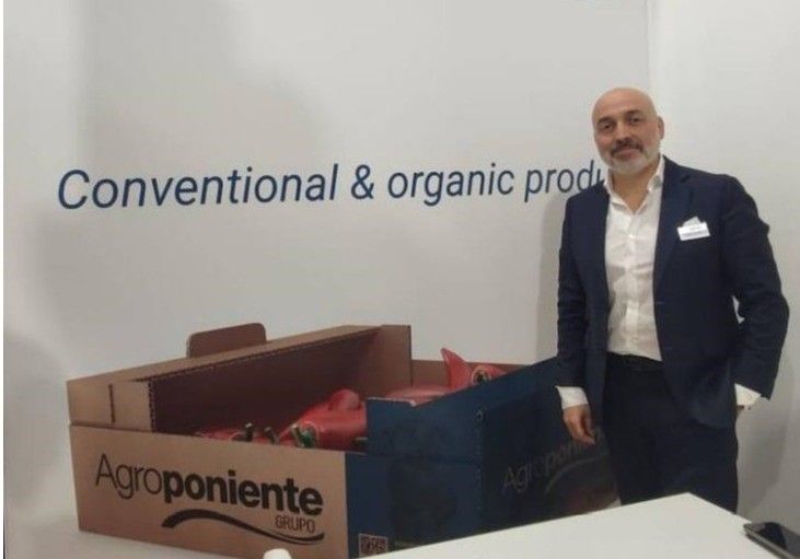 Grupo Agroponiente sigue creciendo un complicado arranque de campaña para el sector
