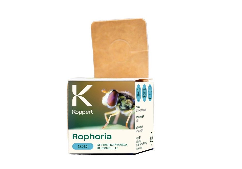 Rophoria, la nueva imagen para uno de los enemigos más temidos por los pulgones