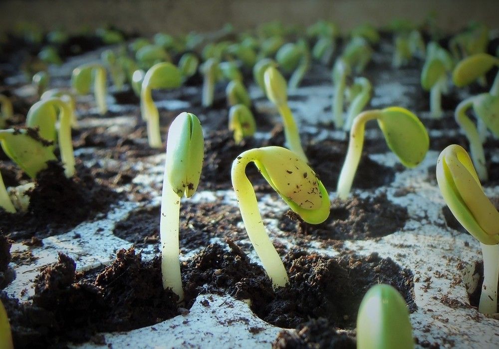 Días claves para la innovación de la agricultura europea
