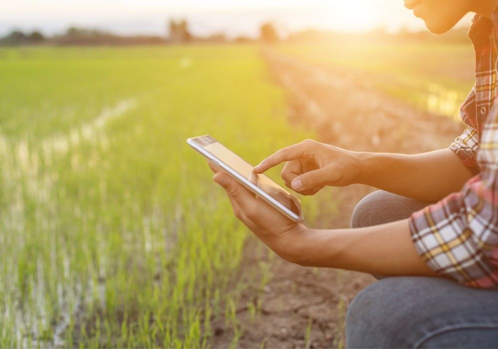 La revolución tecnológica pendiente del sector alimentario: la digitalización administrativa