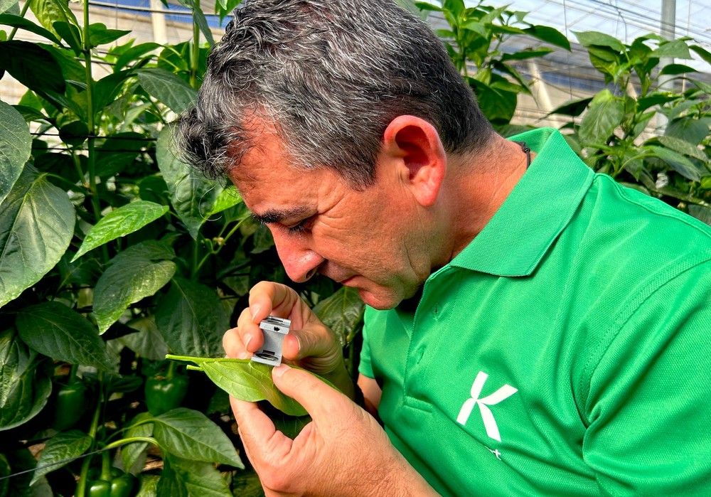 Koppert convierte el control biológico en la clave para vencer las resistencias de las plagas y enfermedades