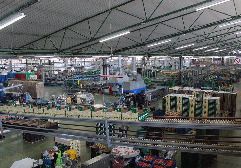 Anecoop se refuerza en Almería con la incorporación de Ecoinver como socio