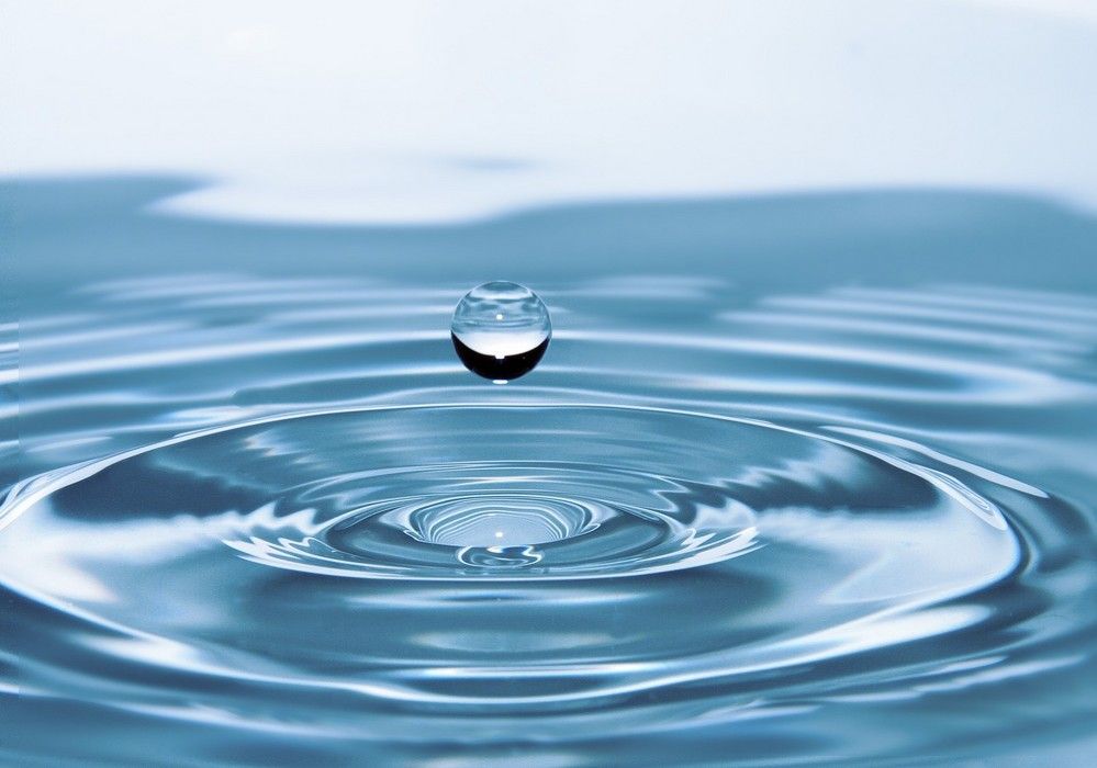 La disponibilidad de agua está ofreciendo a la agricultura de Almería una ventaja competitiva única en toda Europa