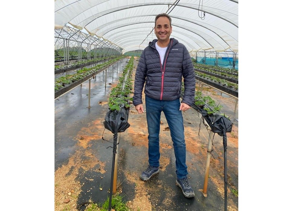 El Consejo Andaluz de Colegios Oficiales de Ingenieros Técnicos Agrícolas aborda la crisis estructural del sector agrario