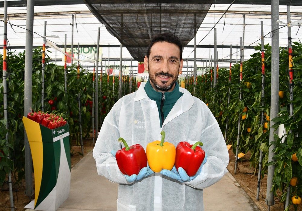 HM. Clause abre sus puertas para demostrar la potencia de su catálogo en pimiento California