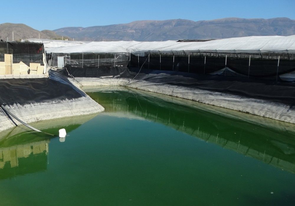 Tres años de prisión para el presidente de los regantes de 'Cuatro Vegas' por usar agua mal depurada y extracciones ilegales