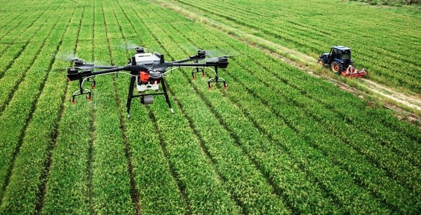 El Ministerio de Agricultura, Pesca y Alimentación impulsa la formación como herramienta de modernización en el medio rural