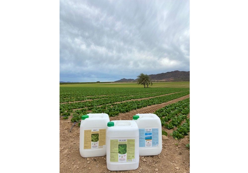 Frabelse avanza en agricultura sostenible con microorganismos efectivos: EM AGRO, EM 5 y ALGEM