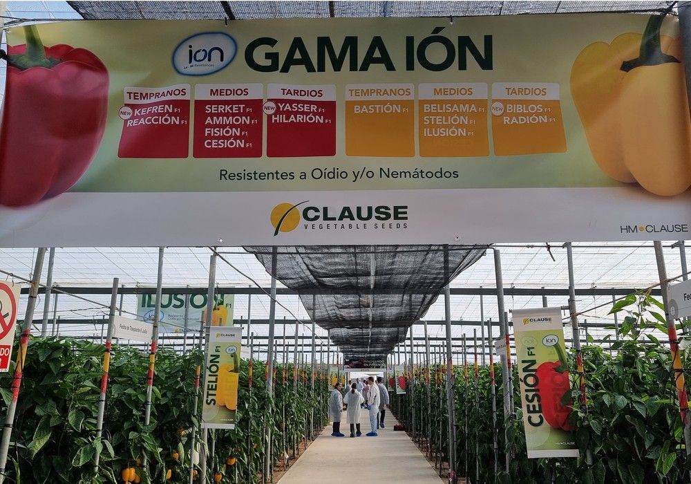 ‘Precisión’ contra oídio y nematodos con los pimientos de la gama IÓN de HM.CLAUSE