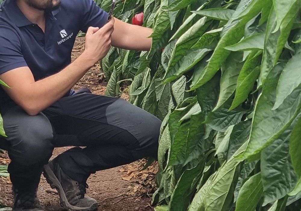 La Junta convoca una línea de ayudas de apoyo a la agricultura de precisión por 5 millones de euros