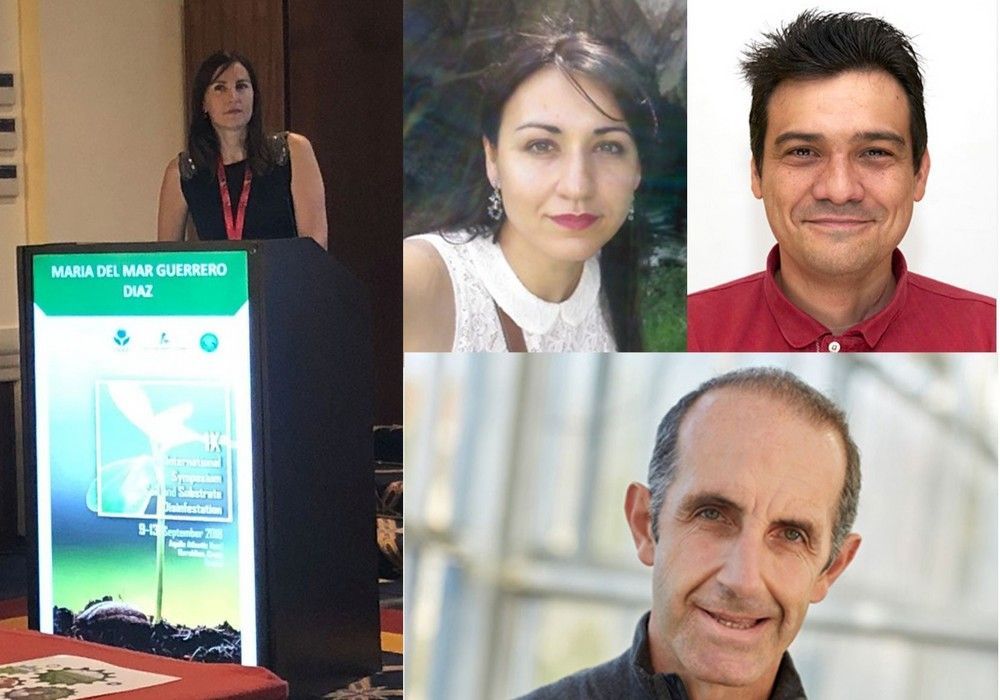 Aportación clave de la UAL para la biosolarización en lugar de plaguicidas frente a microorganismos de suelo