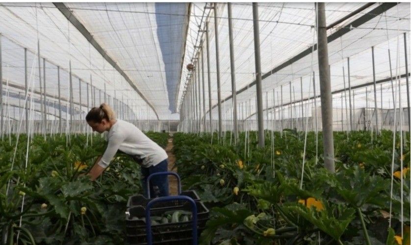 El 8 de abril finaliza el plazo para presentar candidaturas a los XV Premios de Excelencia a la Innovación para las Mujeres Rurales