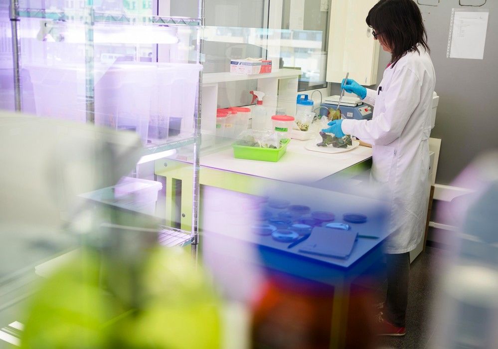 ValGenetics, un laboratorio designado para análisis fitosanitarios