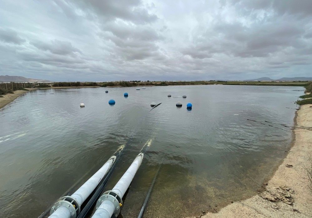 Uso de microorganismos efectivos en la gestión del agua en agricultura: La innovación de Frabelse