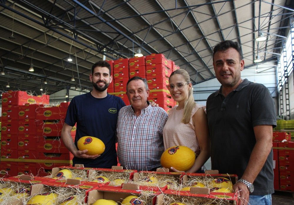 Francisco Maleno García S.L (MAGAR), símbolo de calidad y compromiso en la comercialización de melón amarillo