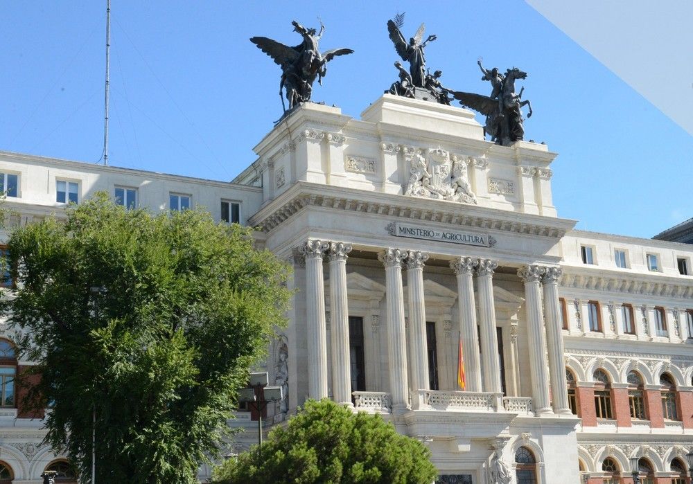 Luis Planas: El Gobierno apuesta por la innovación continuada para un sector agrario competitivo y rentable