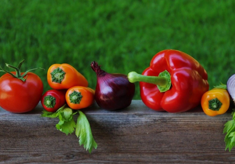 Iniciada la tramitación del anteproyecto de ley de  impulso y promoción de la producción ecológica