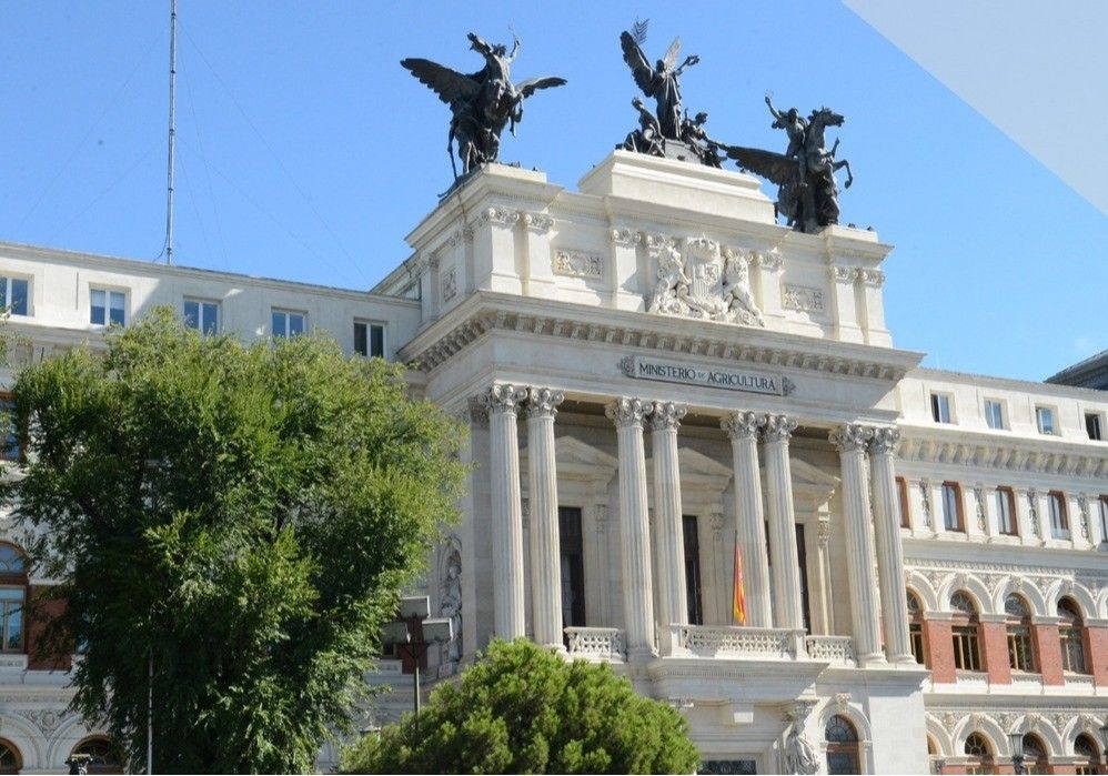 El ministro Planas destaca los beneficios de los acuerdos internacionales para el sector agroalimentario español