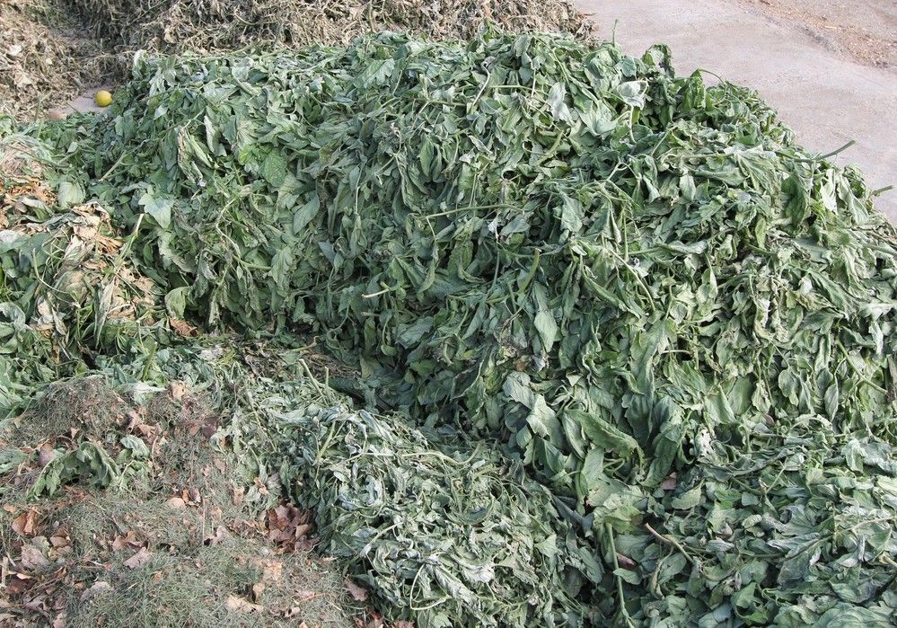La Asociación de Empresas de Recogida de Residuos Agrícolas de Almería (ARRAS) alerta de la saturación de las plantas de gestión de restos vegetales