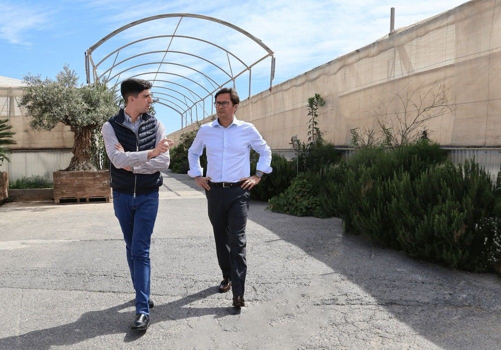 El Ayuntamiento de El Ejido le pide al Gobierno una rebaja del 50% para el sector agrícola de los índices de rendimiento neto aplicables en el IRPF