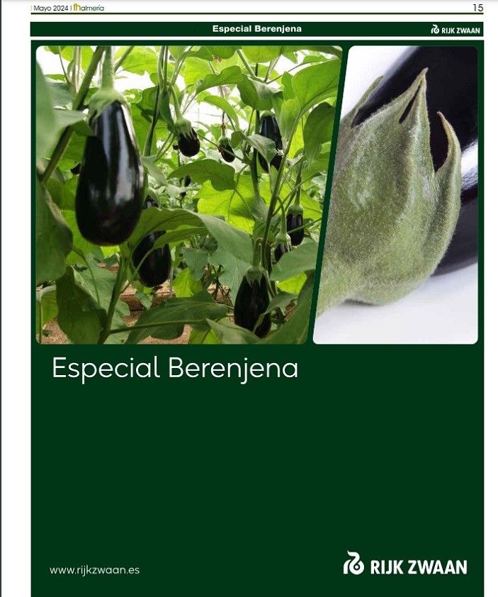 Especial Berenjena de Rijk Zwaan