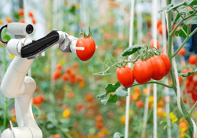 Cajamar Innova Agrotech busca proyectos emprendedores en la aplicación de nuevas tecnologías a la producción de alimentos