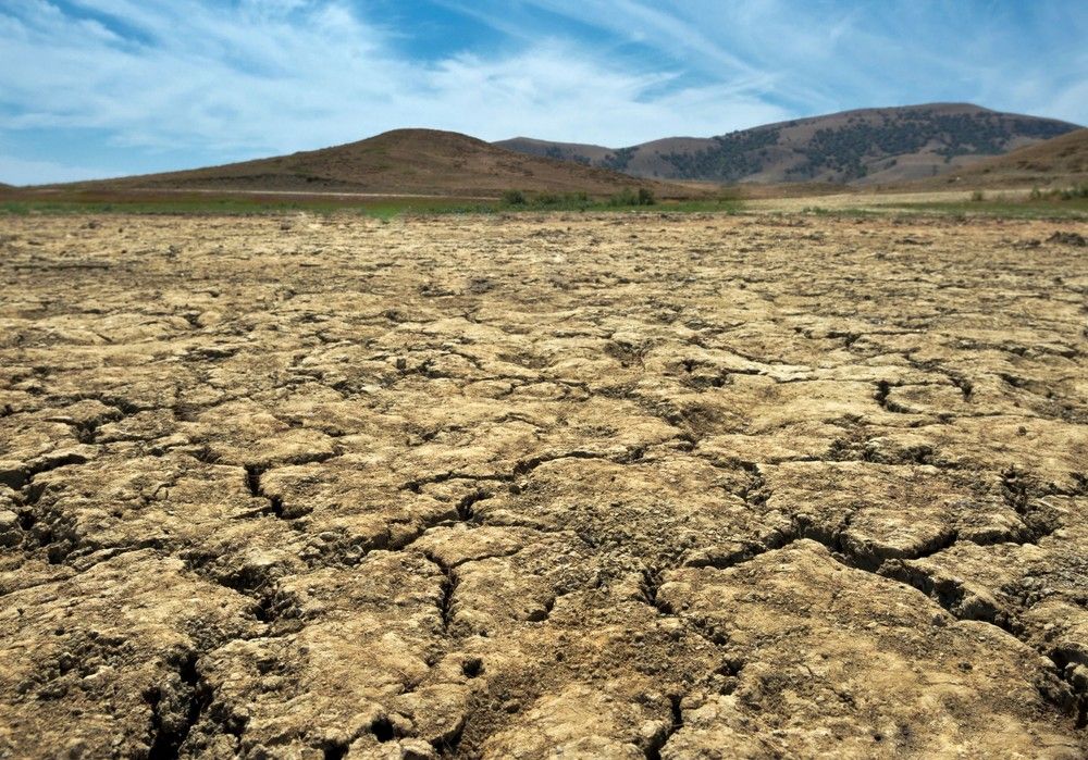 ASAJA, COAG y Cooperativas Agro-alimentarias piden al Ministerio de Agricultura la convocatoria urgente de la Mesa de la Sequía