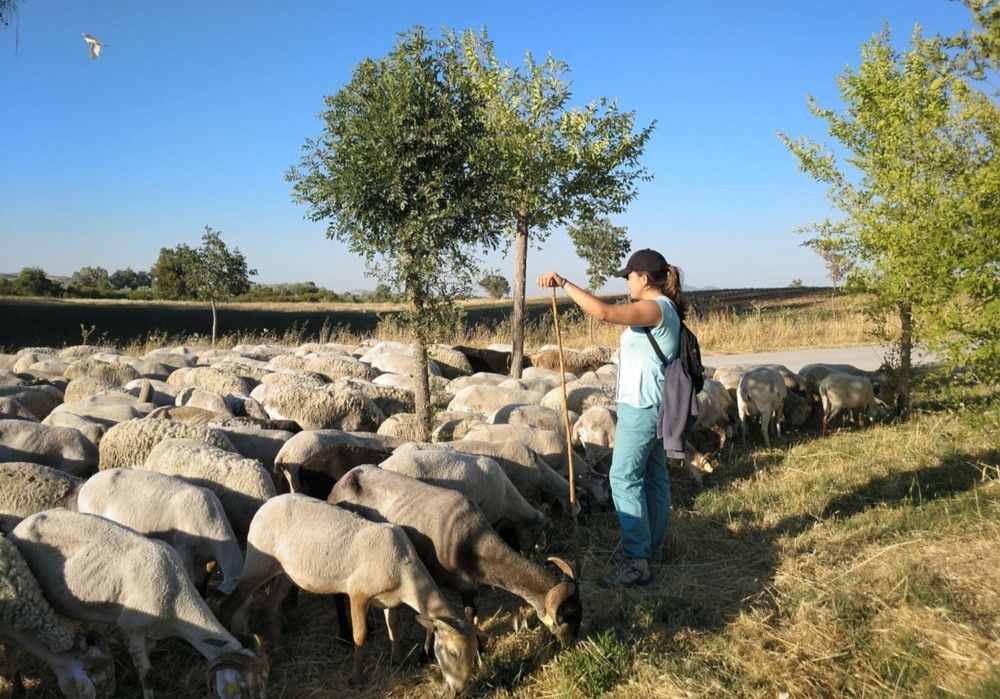 La Consejería de Agricultura aumenta un 28% los cursos de formación que ofrece a través del Ifapa