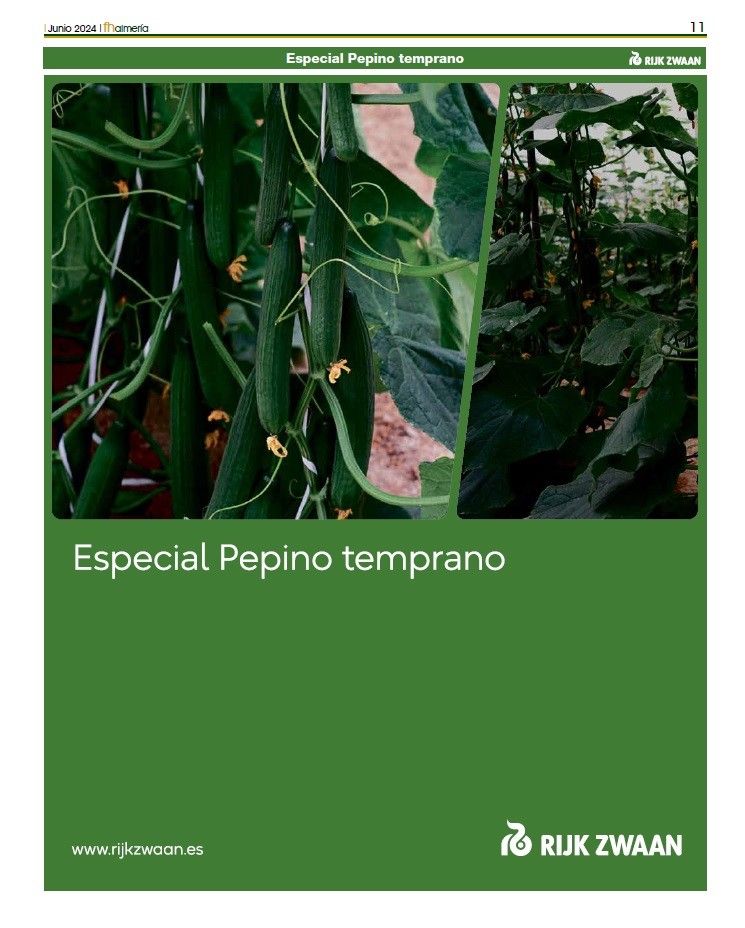 Especial pepino temprano de Rijk Zwaan