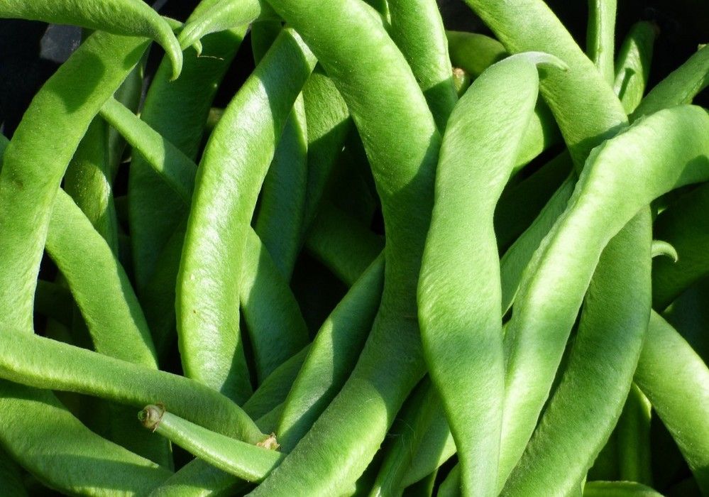 El consumo de frutas y hortalizas frescas en los hogares baja un 14% en los últimos cinco años