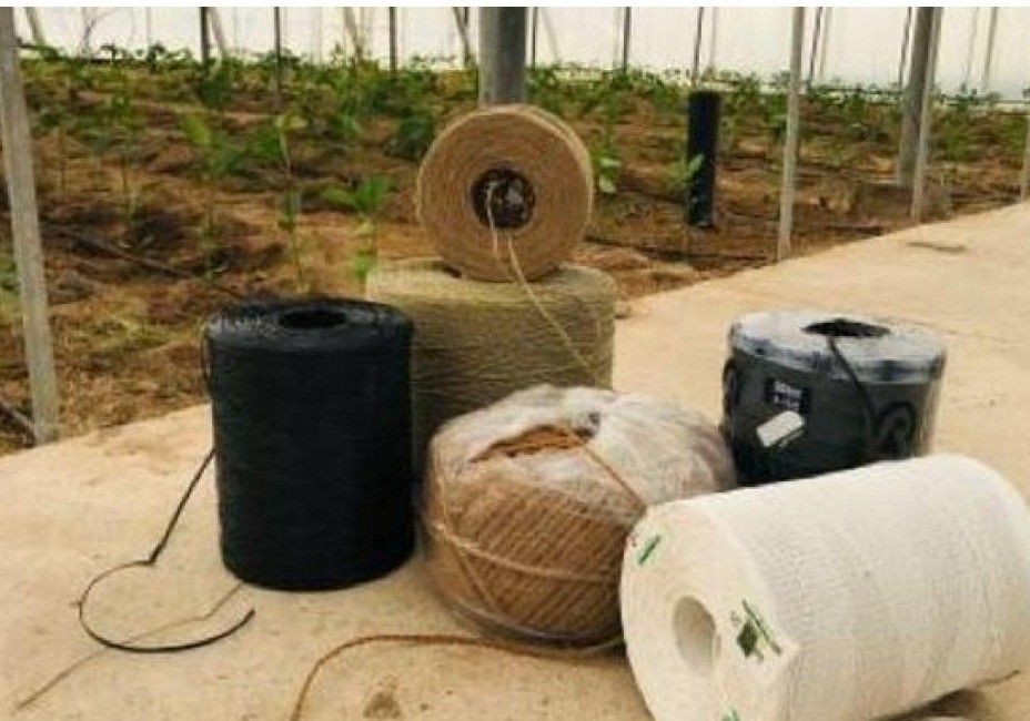 Grupo Agroponiente participa en una nueva sesión del Proyecto Recicland, en este caso sobre gestión de insumos plásticos para el entutorado