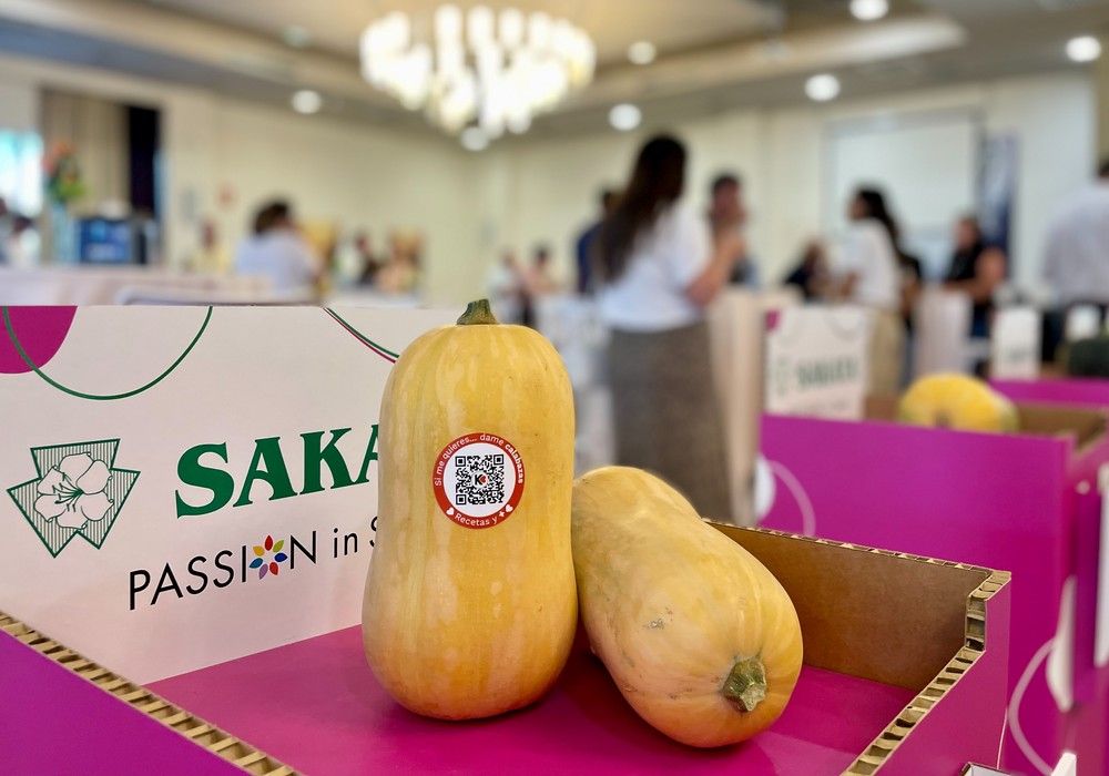 Calabaza nacional 365 días al año, clave para el aumento de consumo y nuevas oportunidades de negocio