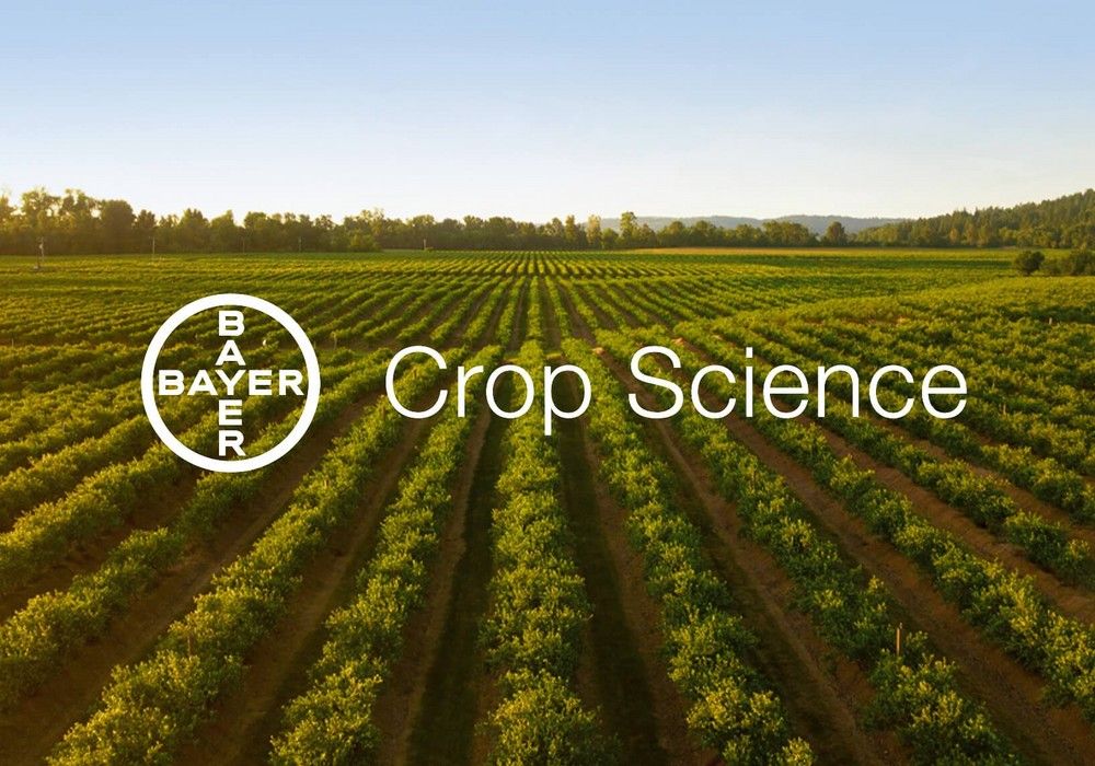 Bayer prueba con éxito el nuevo material compostable de Novamont que elimina el residuo plástico en los cultivos agrícolas