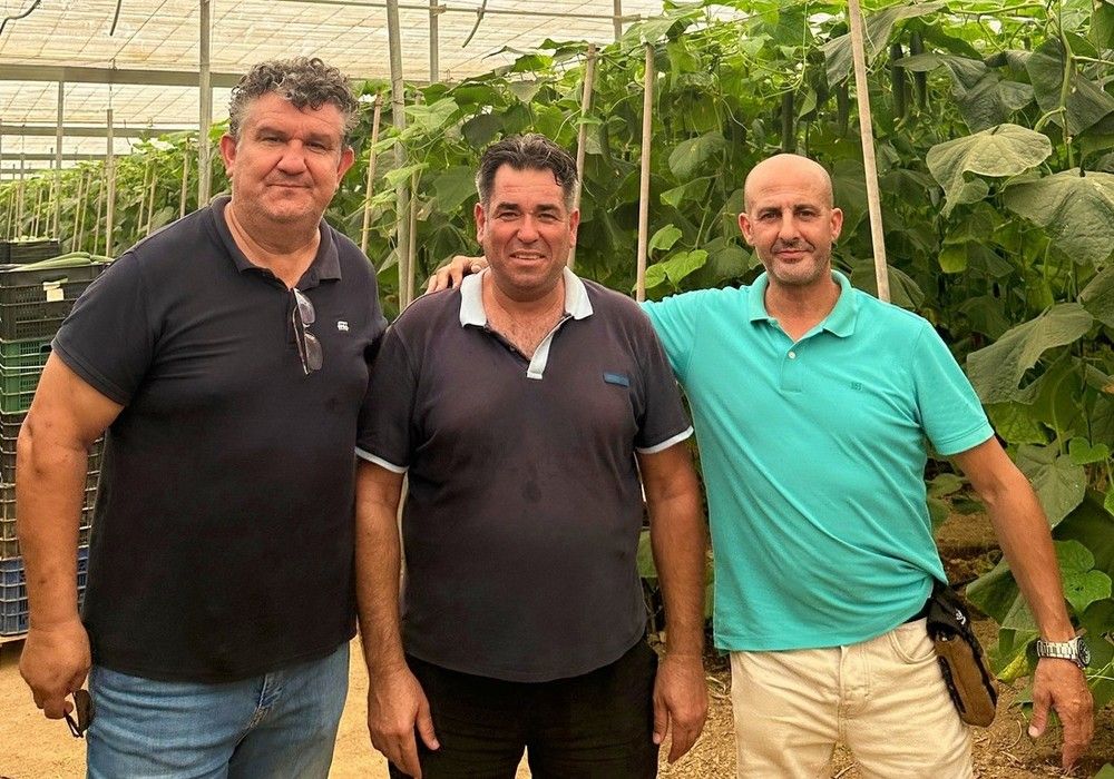 Éxito de las jornadas de campo de Semillas Fitó para mostrar su pepino holandés Nairobi