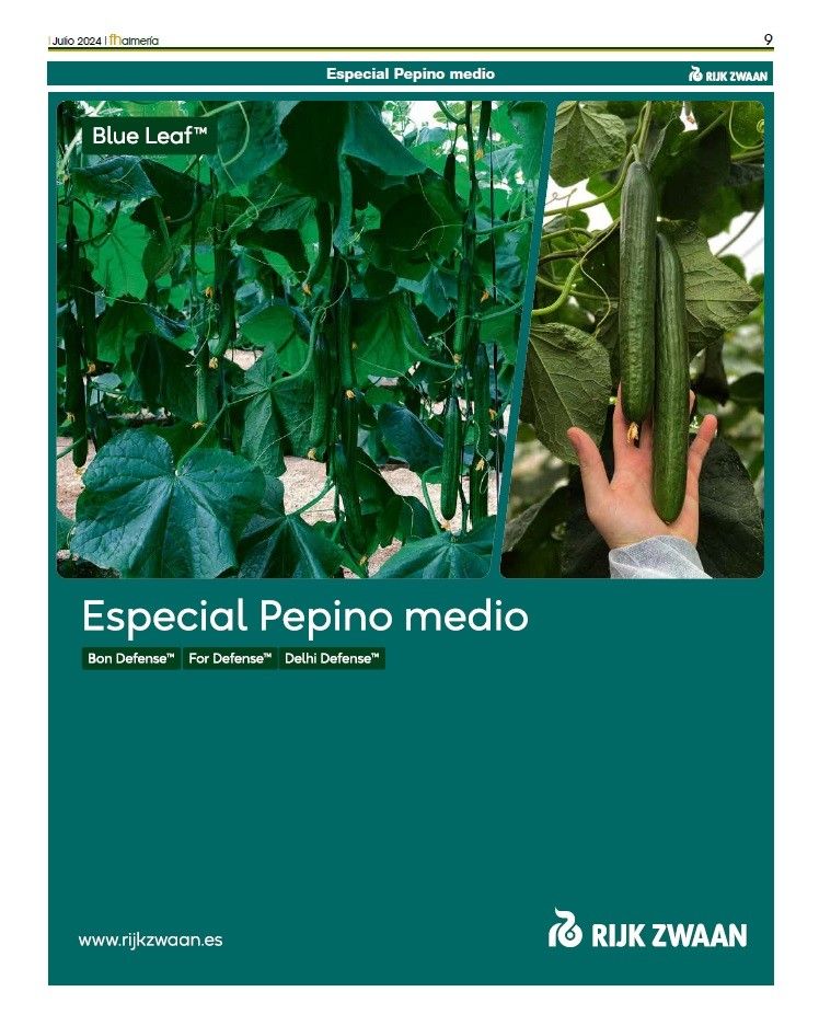 Especial pepino medio de Rijk Zwaan