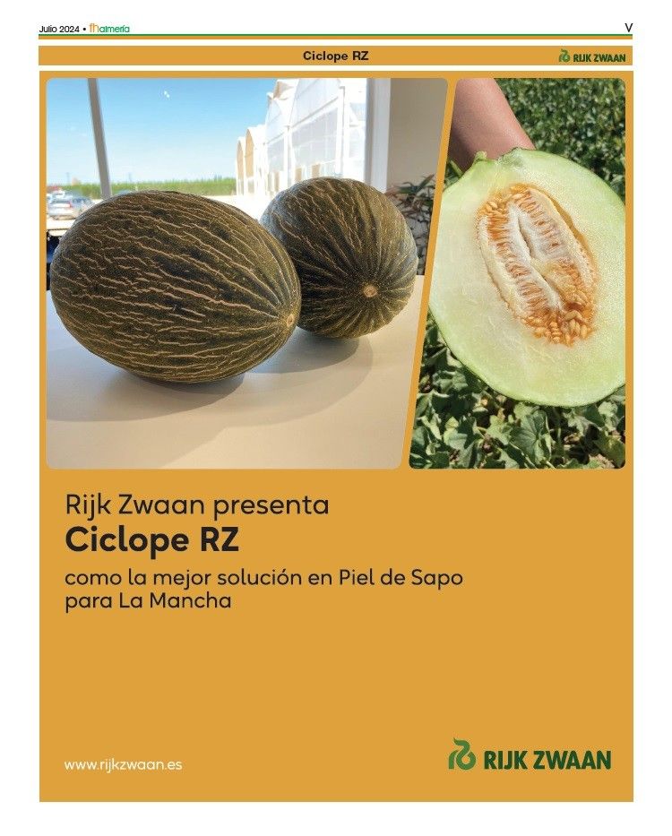 Ciclope RZ, la mejor solución en piel de sapo