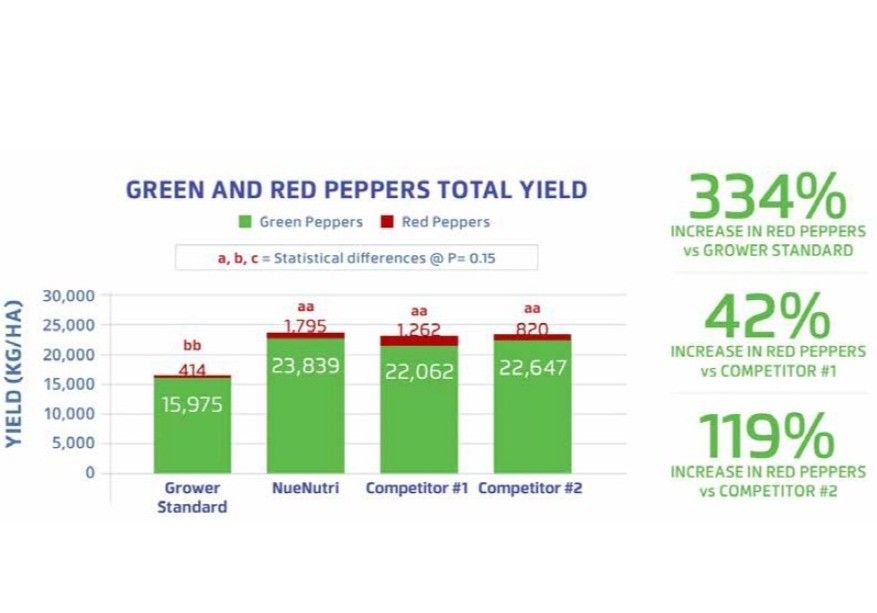 Aumento de la proporción de pimiento rojo y reducción del rechazo con NueNutri™