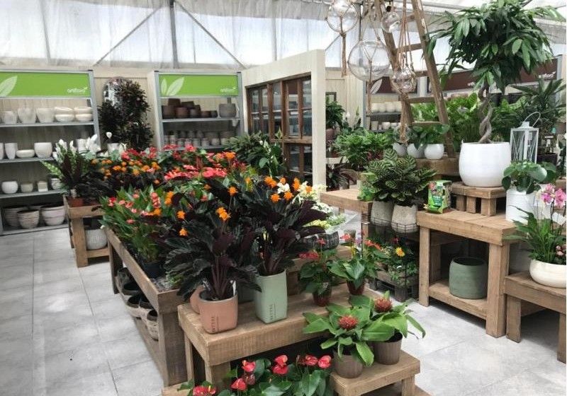 La importación española de flor y planta viva procede en un 60% de la UE