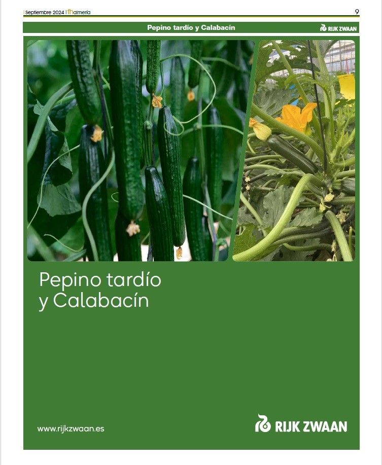 Especial pepino tardío y calabacín de Rijk Zwaan
