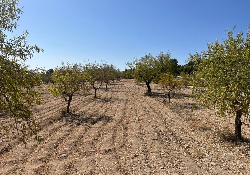 COAG Almería exige medidas urgentes para rescatar a las explotaciones agrarias devastadas por la sequía