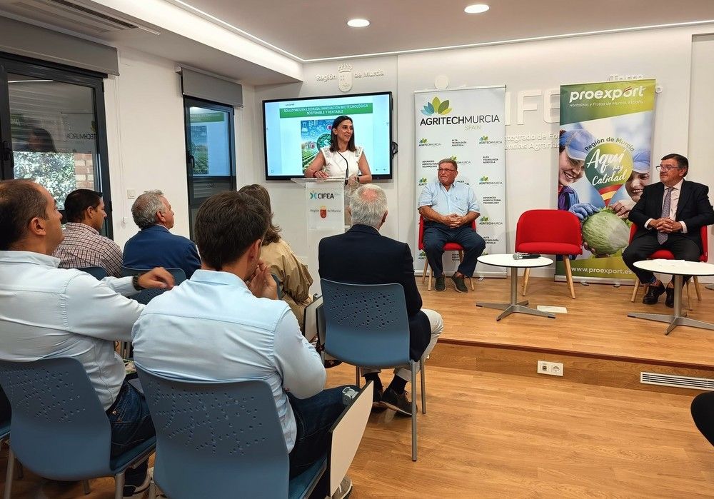 La Región de Murcia lidera la exportación de lechuga con el 65 por ciento del total nacional