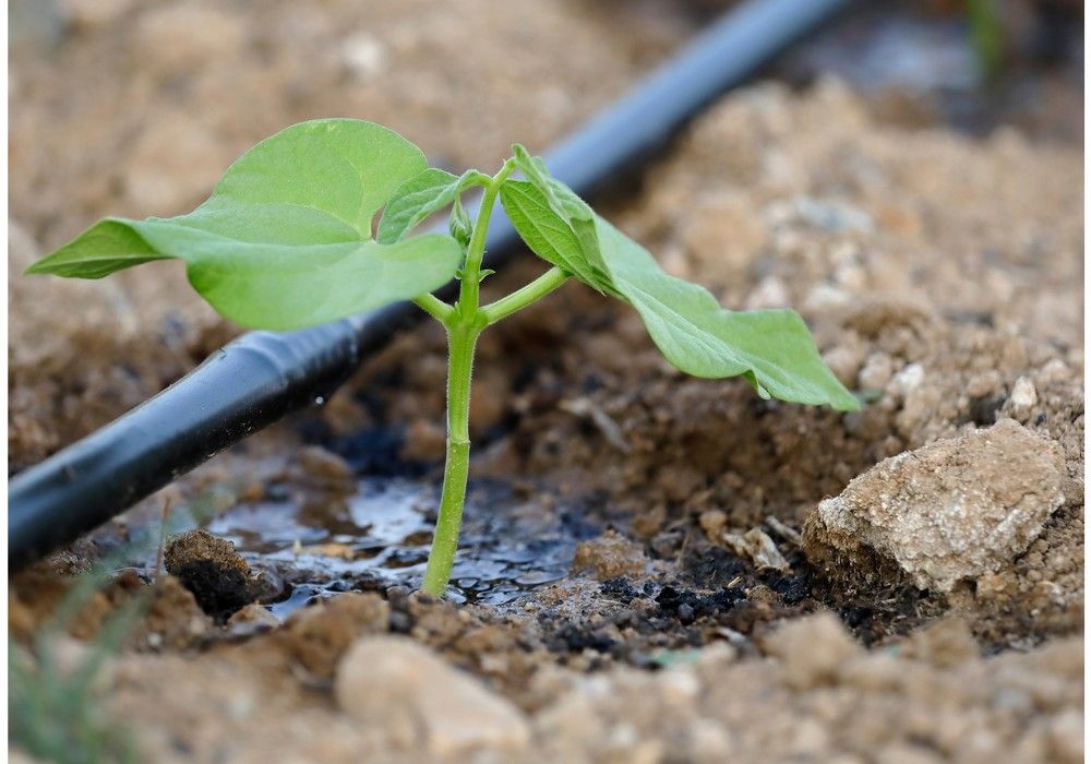 COAG Almería reivindica ante Agricultura  de la Junta que el orden en la gestión del agua  se establezca desde lo público