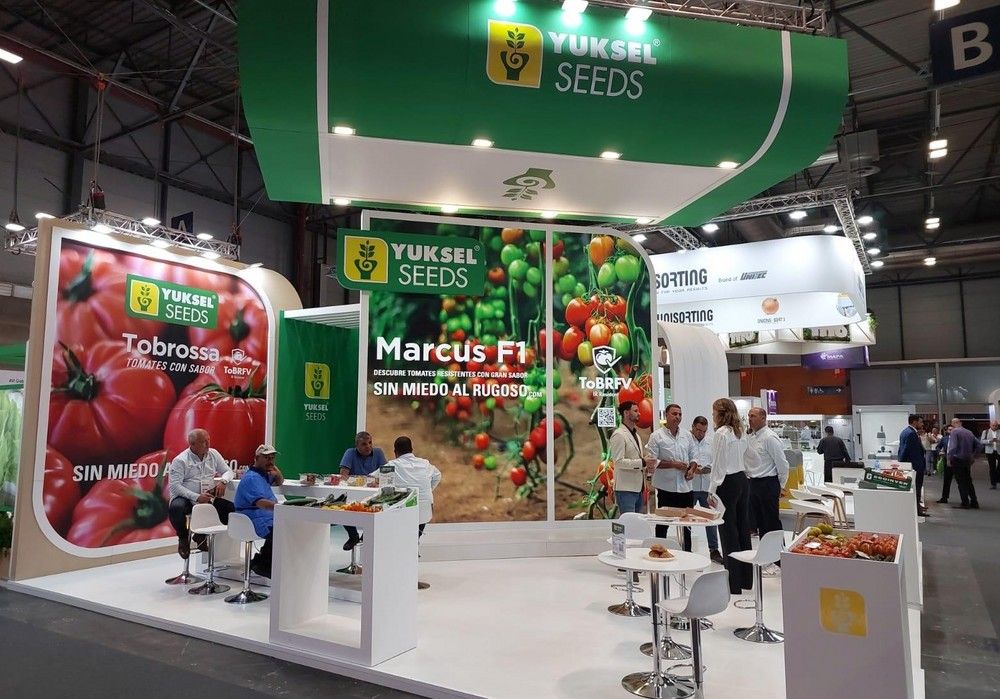 Yuksel Seeds amplía su catálogo de variedades de tomate resistentes al rugoso