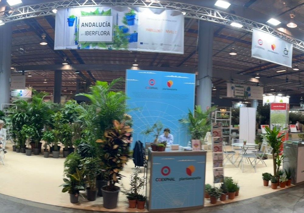 Plantaespaña llega a Iberflora representando al 65% de la producción ornamental de Andalucía