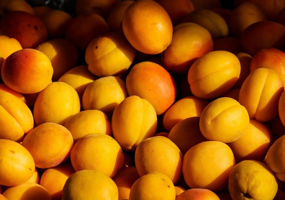 El Ministerio de Agricultura, Pesca y Alimentación abona casi 1,9 millones de euros de ayuda extraordinaria a 510 nuevos agricultores de frutales y frutos de cáscara