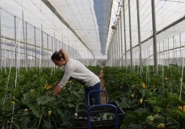 El Gobierno defiende la unión y el asociacionismo como herramientas clave para mejorar la vida de las mujeres en el mundo rural
