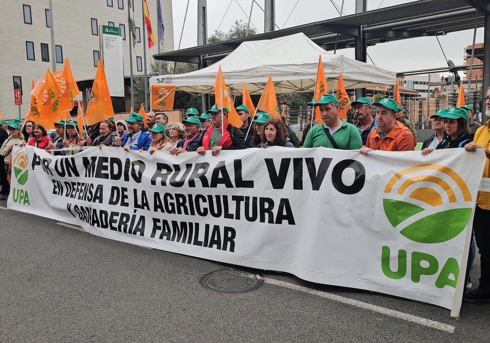 UPA Andalucía reúne a 300 agricultores y ganaderos ante la Consejería de Agricultura para reclamar ayudas directas ya contra la sequía