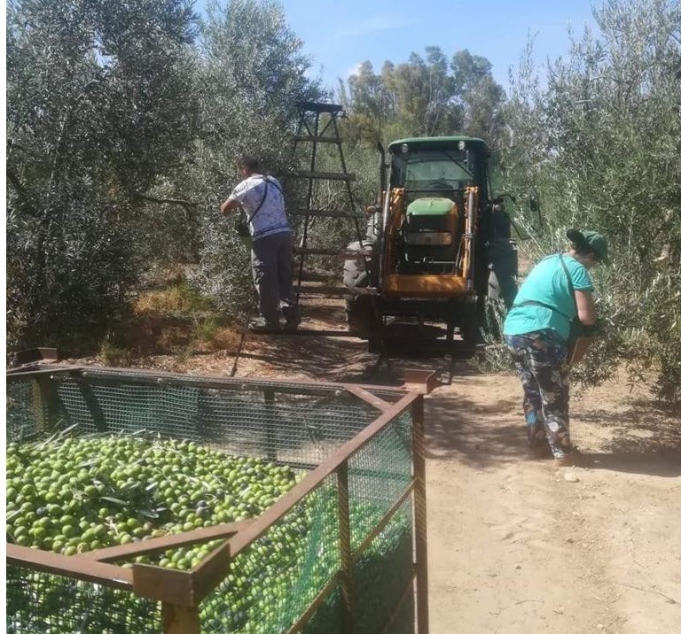 La alta temporalidad y la estacionalidad lastran el empleo en el sector hortofrutícola