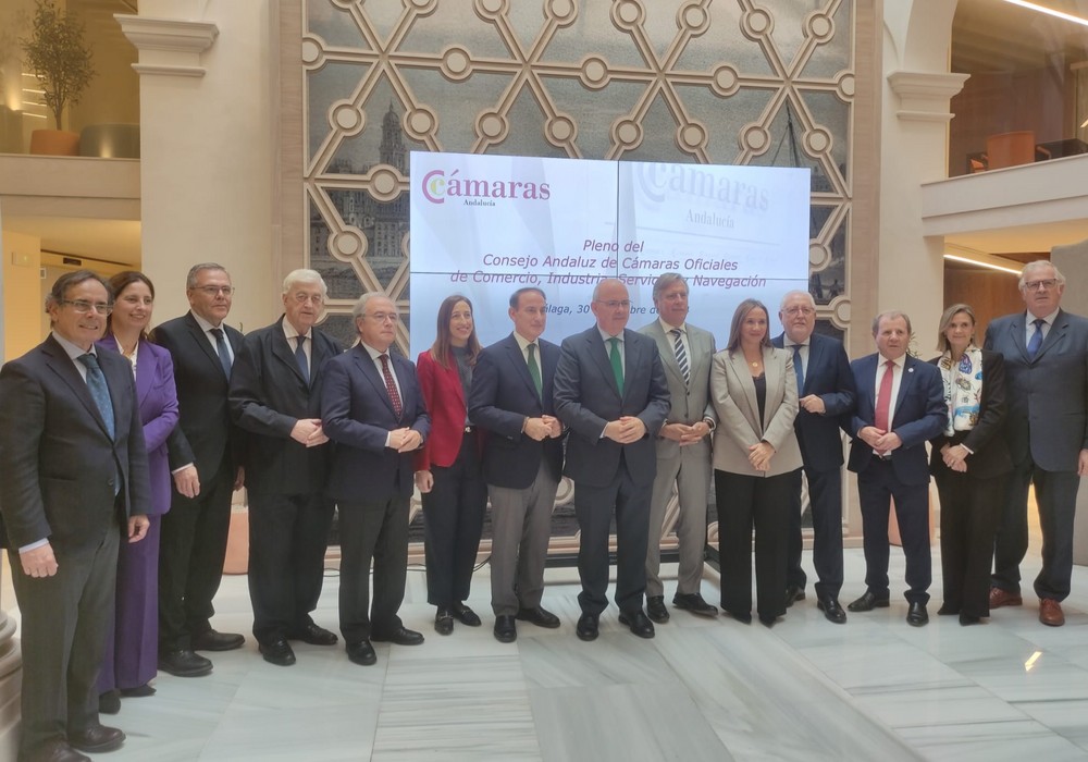 Cámaras de Andalucía piden celeridad en las ayudas a las empresas almerienses afectadas por la Dana