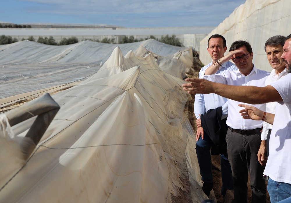 La DANA deja daños por al menos 100 millones de euros en El Ejido y unas 5.000 hectáreas de invernadero afectadas